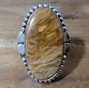 Women Size 9 Jewelry Silver 925 Fossil Agate Gemstone Crystal Western Bo…